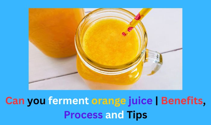 Can you ferment orange juice